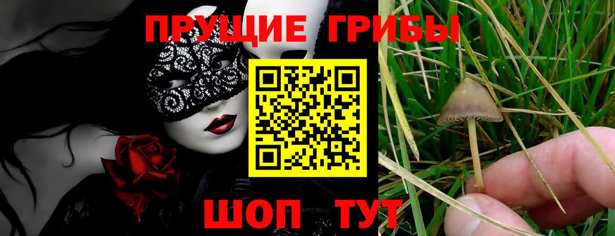 Псилоцибиновые грибы мухоморы Волоколамск